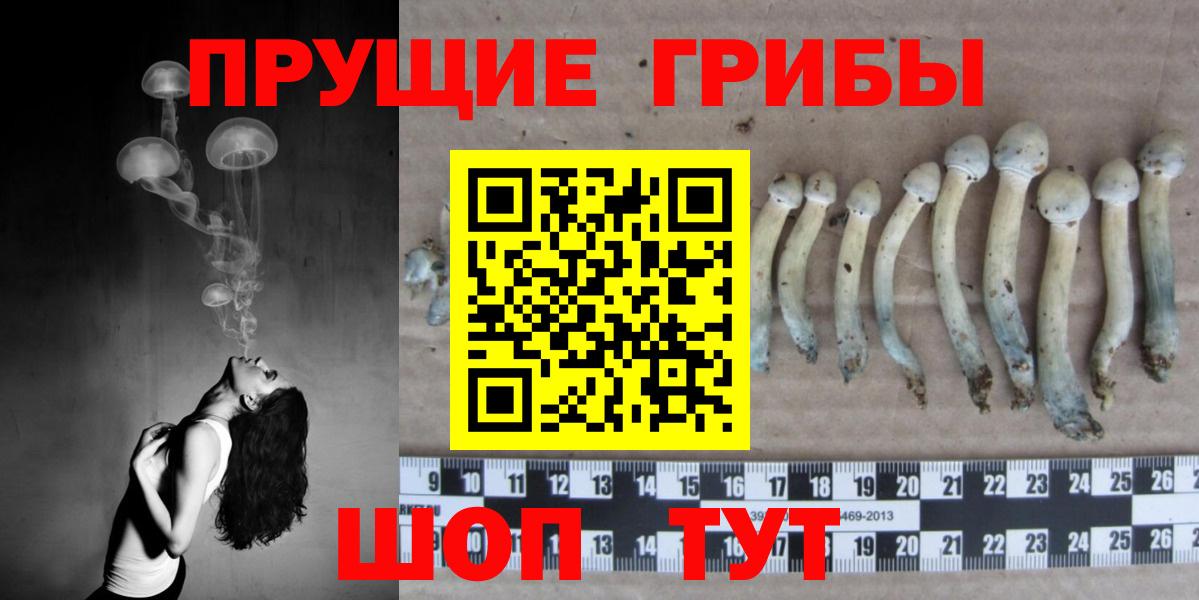 Домодедово  Галлюциногенные грибы Magic Shrooms  Вход с VPN 